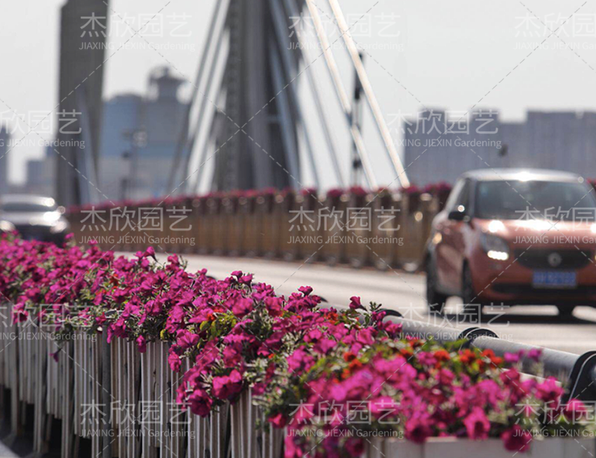 鋁合金創(chuàng)意花箱有哪些款式？